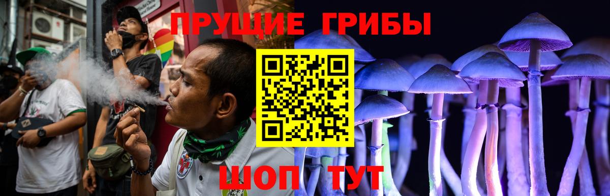 Галлюциногенные грибы GOLDEN TEACHER  Вход с VPN  Кирово-Чепецк 