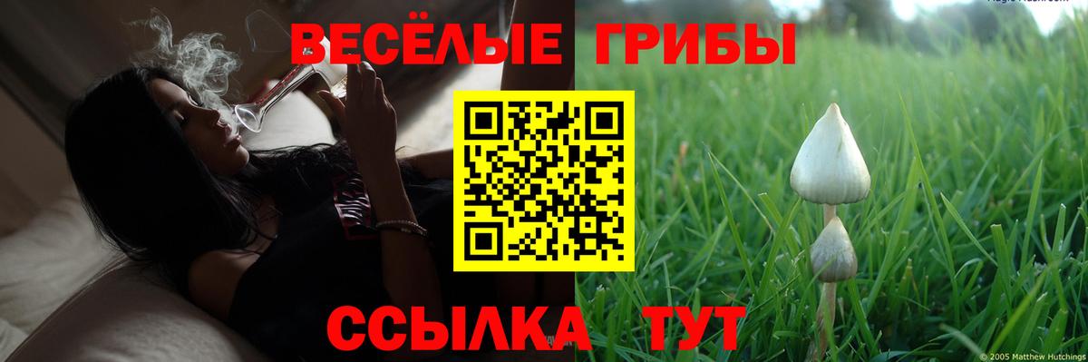 Галлюциногенные грибы ЛСД Кирово-Чепецк