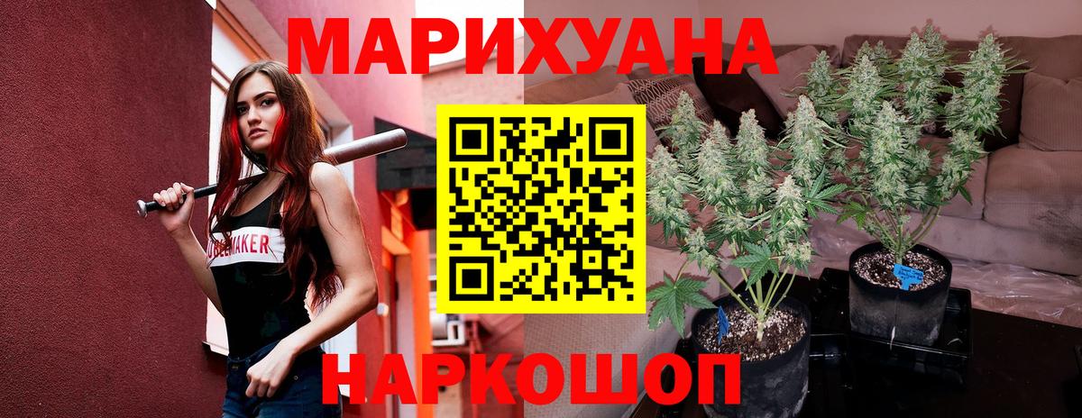 Каннабис сатива  Бошки Шишки планчик  Кирово-Чепецк  Вход с VPN  Шишки марихуана Bruce Banner 
